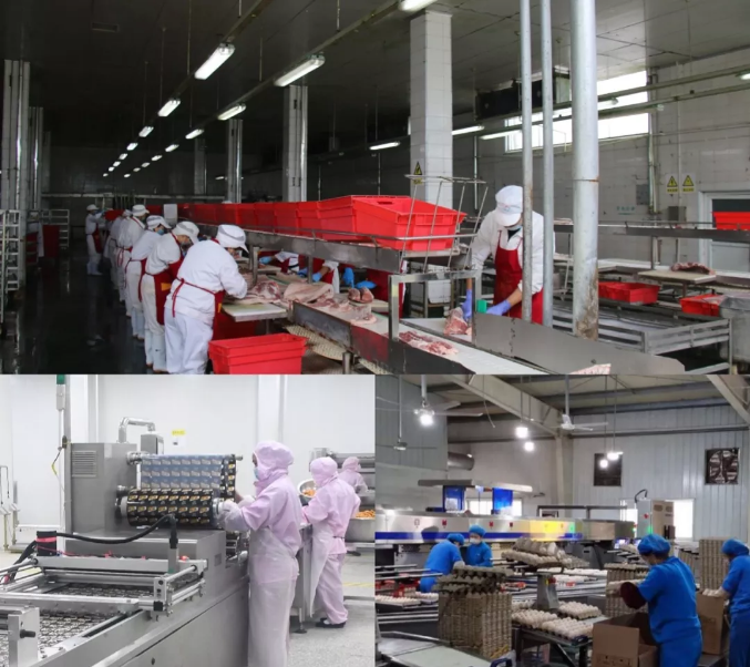 1582696726(1) 1582696726(1)