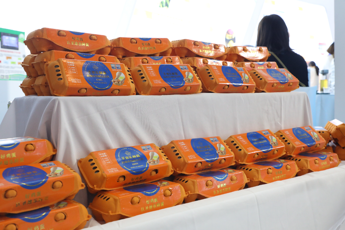 478A5597.JPG 478A5597.JPG