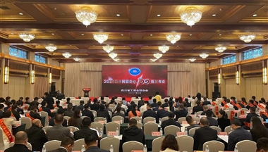 排(pai)名(míng)再躍升!鐵騎力(li)士集(ji)團(tuán)入圍四川民(mín)營(ying)齊(qi)業前(qian)20強!